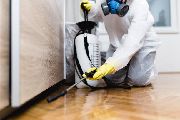 Best Emergency Pest Control  in Rogers, MN