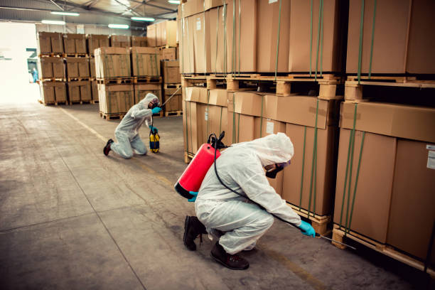 Wasp Removal Services in Rogers, MN