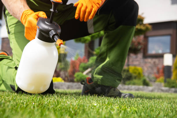 Best Pest Prevention Services  in Rogers, MN