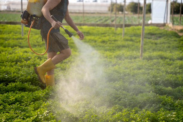 Best Residential Pest Control  in Rogers, MN