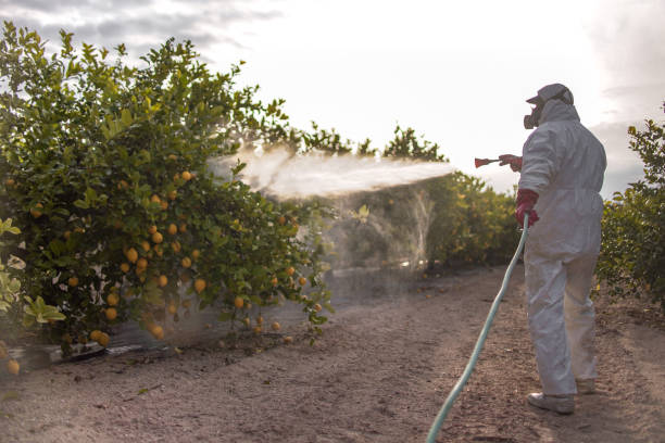 Pest Prevention Services in Rogers, MN