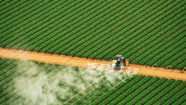 Best Pest Removal Services  in Rogers, MN