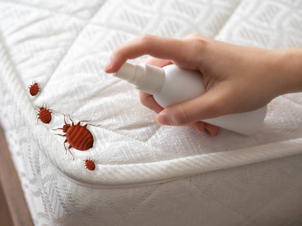 Best Pest Control Treatment  in Rogers, MN