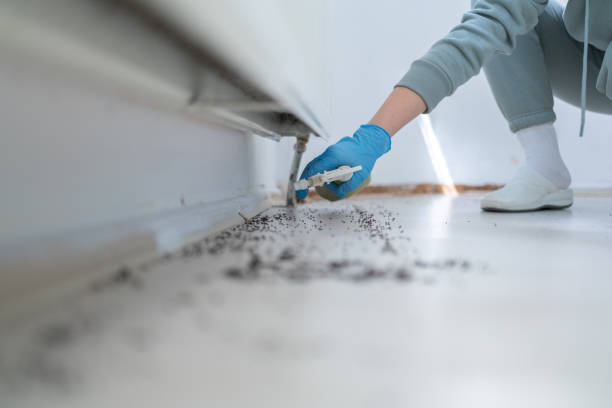 Best Pest Removal Services  in Rogers, MN
